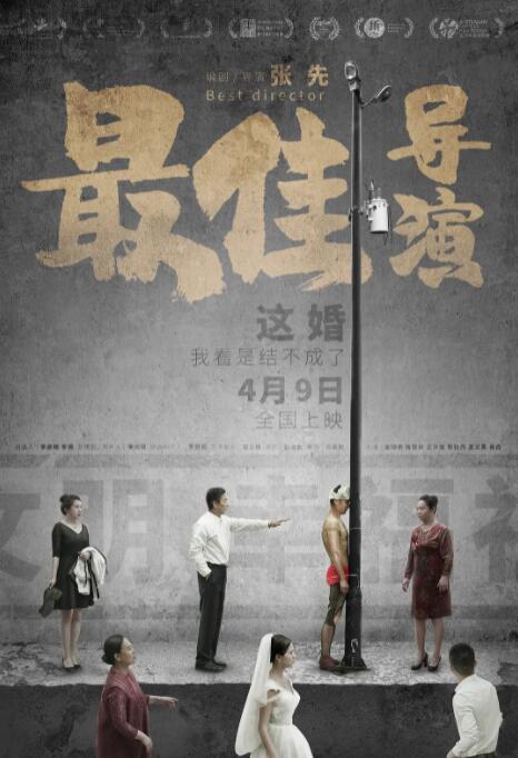 最佳导演海报